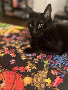 Bruce with Puzzle